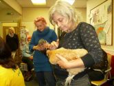 Urban Chicken Keeping Workshop - Green City