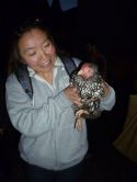Urban Chicken Keeping Workshop - Green City